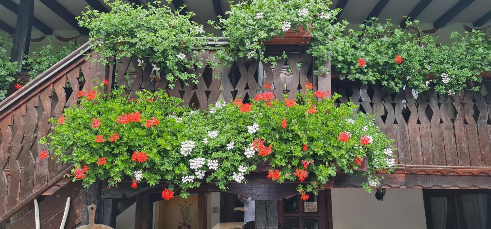 Стаи За Гости The Old House Velingrad Extérieur photo